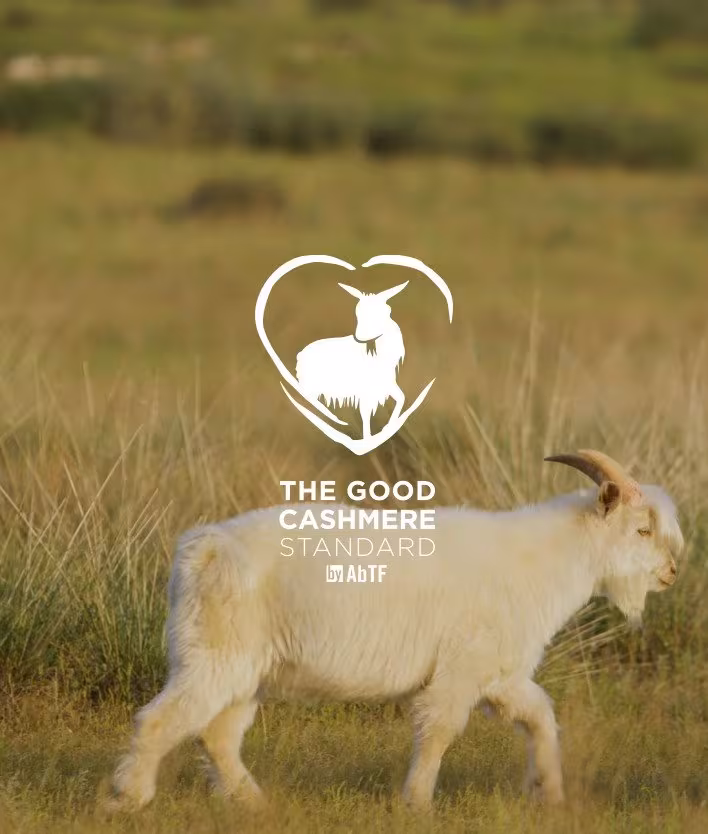 our milestones img 3